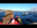 Mossel Bay Kayak Fishing (Dolphin experience)