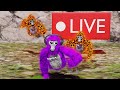 BIRTHDAY LIVE!!! Join Up (First live)