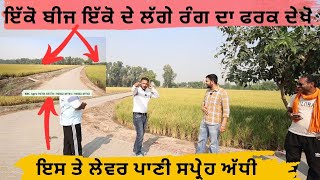 ਪਿਛਲੇ ਸਾਲ ਇਸ ਬਿਜਾਈ ਨੇ ਪਾਣੀ ਲੇਵਰ ਤੇ ਬਿਮਾਰੀਆਂ ਤਿੰਨਾਂ ਥਾਵਾਂ ਤੋਂ ਕਿਸਾਨਾਂ ਦੀ ਬਹੁਤ ਬੱਚਤ ਕੀਤੀ
