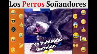 Los Perros Soñadores