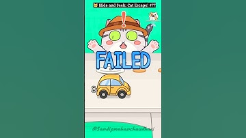 🐱 Hide and Seek: Cat Escape! #77 - Can You Beat This Impossible Level? 😱