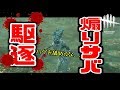 煽ってきたサバイバー達を駆逐するしょこ【2018_08_18】
