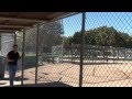 ballpark