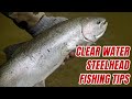 Steelhead fishing tips for clear water