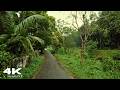 Nature-Filled Village Rain Walk 🌧️ | Relaxing ASMR for Sleep & Meditation (Compilation)