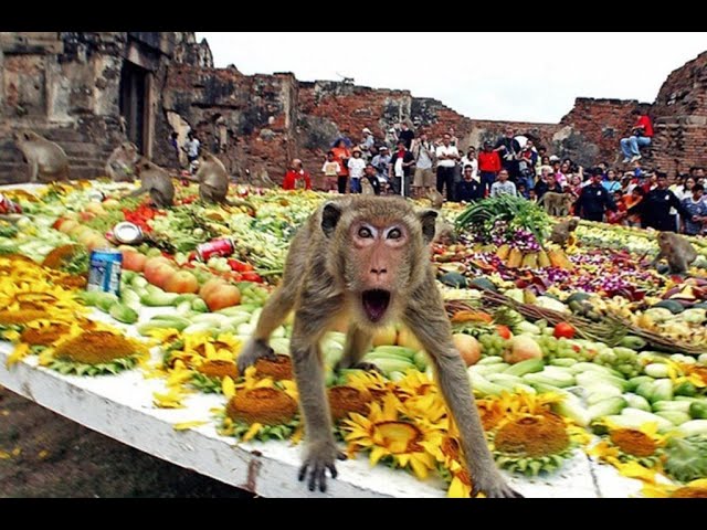 Monkey Market Festival