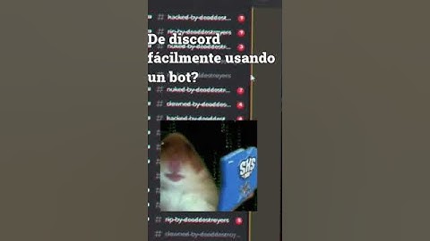 Como raidear un sevidor de Discord sin Admin