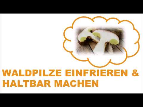 Video: Warum Pilze Vor Dem Einfrieren Kochen?