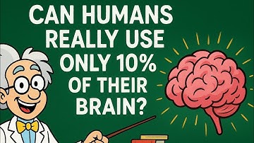 🤔Do We Really Use Only 10% of Our Brain?🧠 The Truth Revealed!