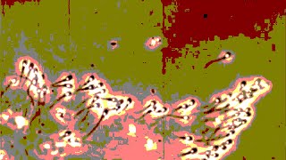 Ararat - Microcosmos