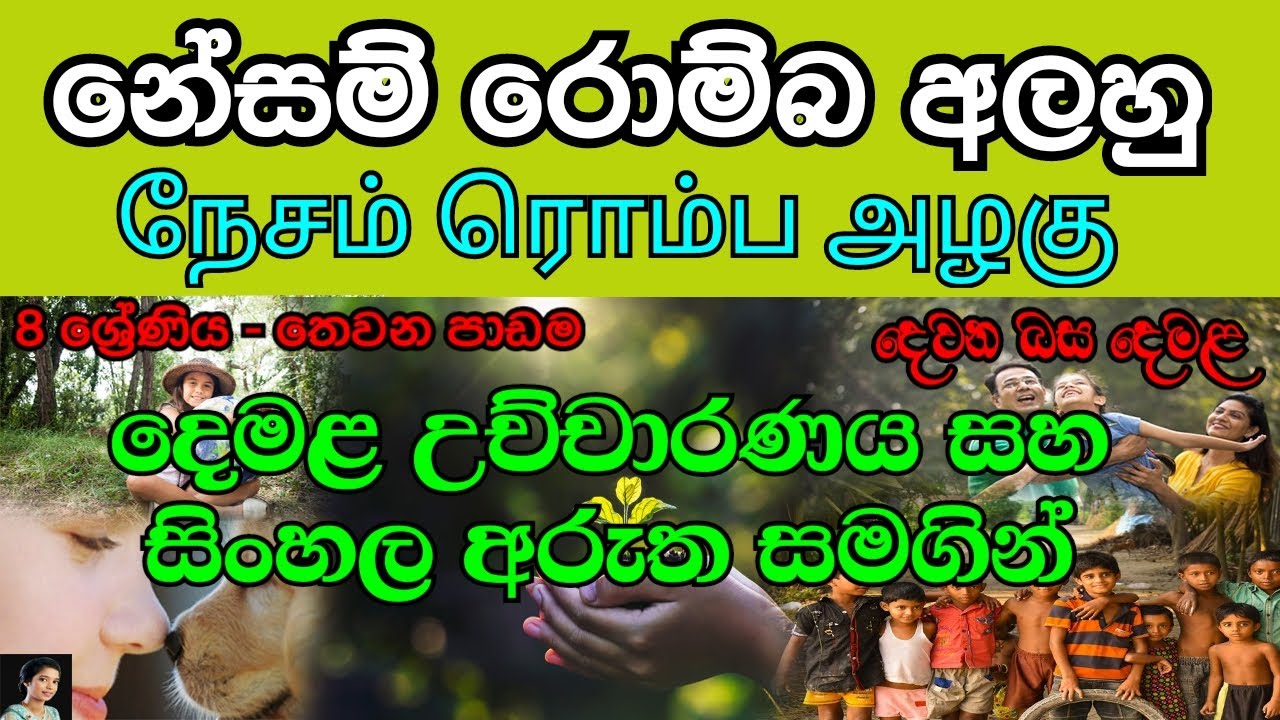 නේසම් රොම්බ අලහු | Grade 8 (Tamil 03 Lesson in Sinhala Media) දෙවන බස දෙමළ | දෙමළ උච්චාරණය සමගින්