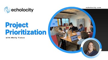Project Prioritization Challenges & Best Practices Webinar | Tutorial for Project Managers & Leaders