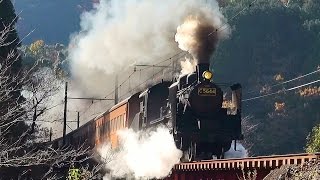 大井川鉄道 SLと紅葉2014 今年最後の3本運転11.29-30