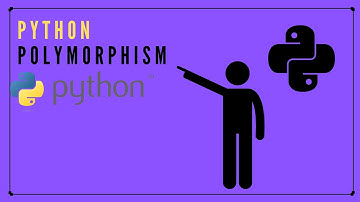 Unraveling Python Polymorphism: Exploring the Many Faces of Programming Flexibility