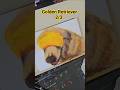 Acrylic practice : Golden Retriever  2/3