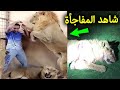 شاهد لحظة هجوم الأسد علي شاب سعودي كان يربيه في المنزل .. النهاية كانت صادمه للملايين !! سبحان الله