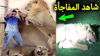 شاهد لحظة هجوم الأسد علي شاب سعودي كان يربيه في المنزل .. النهاية كانت صادمه للملايين !! سبحان الله