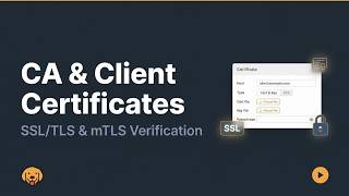 How to Configure CA & Client Certificates in Bruno | SSL/TLS & mTLS | API Testing