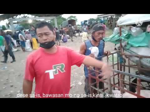 Livestock- Buy and Sell