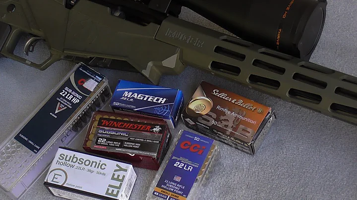 Ruger Precision .22 Rimfire, Subsonic Ammunition Review