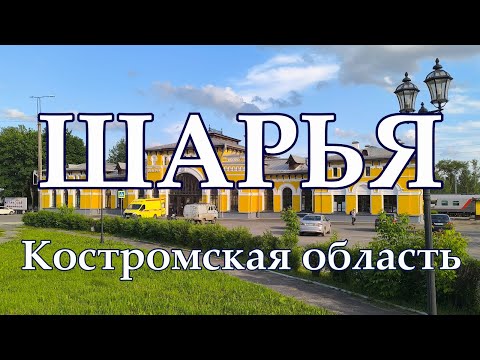 Трусикидегі вагинаның фотосуреттері