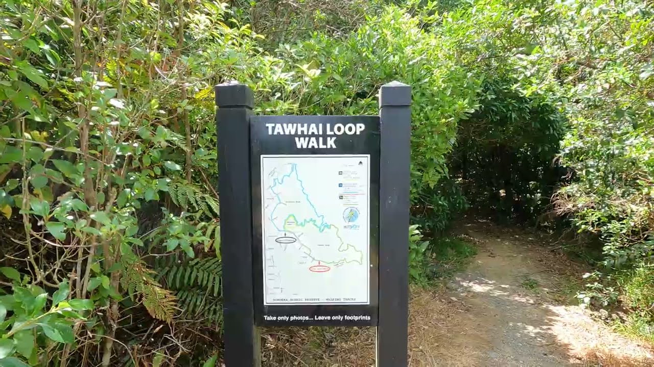 Stokes Valley: Knights Hill