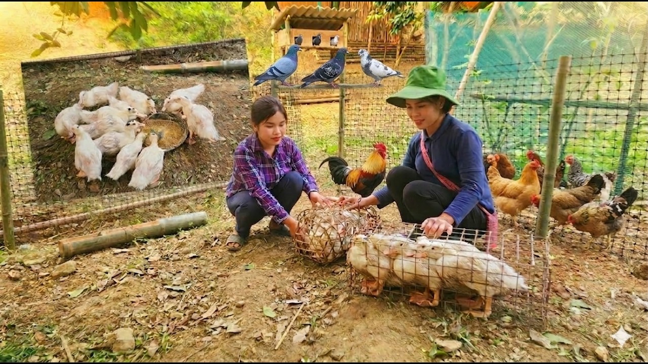 Пот, грязь и благодарность – маленький утёнок, большая надежда. 