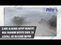 Ilang alagang hayop namatay, mga pananim natuyo dahil sa ashfall ng Bulkang Mayon | TV Patrol