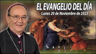 Evangelio Lunes 20 Noviembre 2023, Mons. Enrique Díaz Díaz