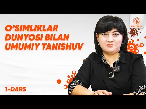 Video: Chin kaktuslari haqida ma'lumot: Chin kaktus o'simliklari haqida bilib oling