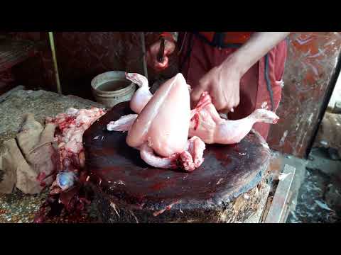 مرغی کیسے ذبح کرتے ہیں