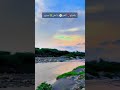 ياصباح الخير يا احلى صباح للشاعر احمد جبار العبسي