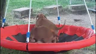 288151015 1160947801422593 7124332333998048218 n