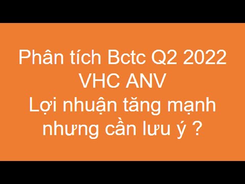 Phân tích BCTC Q2 2022 VHC ANV - Top 3 ngành nghề lưu ý cho năm 2022