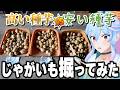 価格差７倍！？　高級種芋は本当にめちゃくちゃ美味しいのか！？