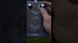 Pipistrelle Bat Echolocation On A Cheap Bat Detector. #shorts #wildlife #nature #bats