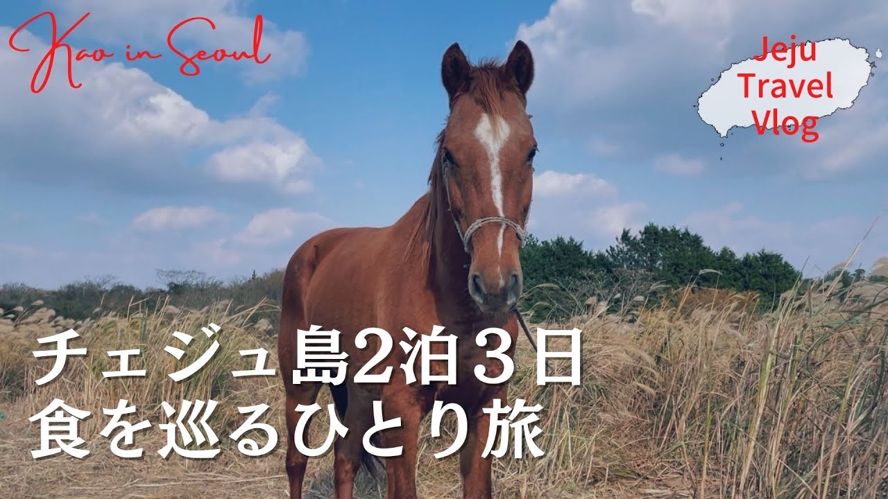 【韓国旅行】南の島チェジュ島、女ひとり旅Vlog｜チェジュ島グルメ、カフェ、海と山をのんびり楽しむ旅