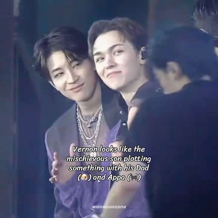 My lil’ Minwonsol family 🤍 #wonwoo #mingyu #vernon #minwon #meanie #minwonsol #seventeen