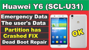 Huawei Y6 (SCL-U31) Emergency Data: The user