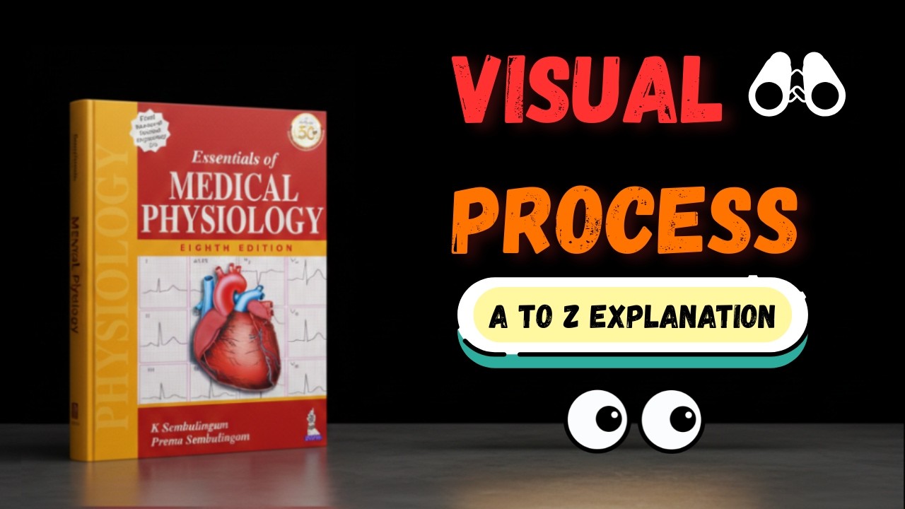 Chapter 166 | Visual Process | From Light Entry to Visual Perception | Physiology