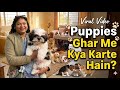 Dogs घर में क्या करते हैं/what does dog do at home|how to train dogs #cute vlog #pet vlog India