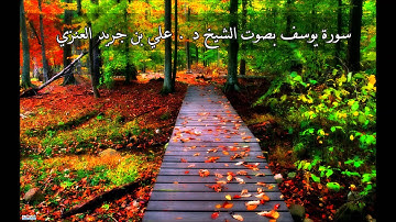 سورة يوسف - علي جريد