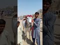 jawad pardesi is live!