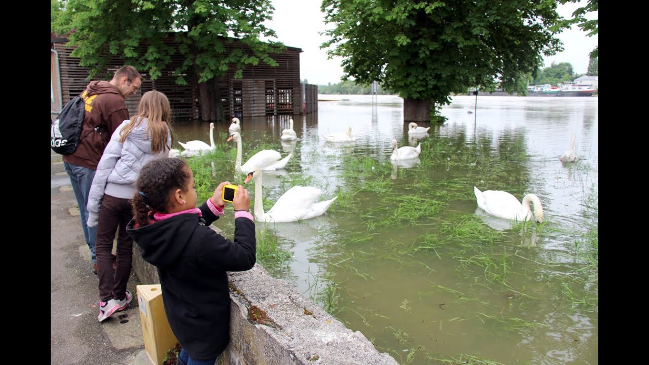 Meet fontenay sous bois