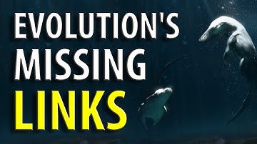 Transitional Fossils! The Evidence For Evolution