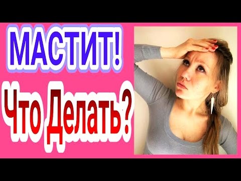 Видео: Какви са най-старите породи кучета?