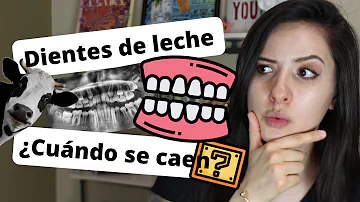 ¿A qué edad se caen los dientes de leche?