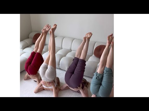 Deep Flexibility Flow with Friends