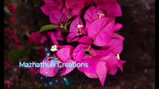 അർച്ചന വീണ്ടും താലി കഴുത്തിലണിഞ്ഞു|Mangalyam serial|Today episode full review|9Feb2026