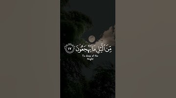 تلاوة جميلة من سورة الذاريات 🍃 الآية 17💭✨ #القرآن_الكريم #التجويد #اكسبلور_فولو